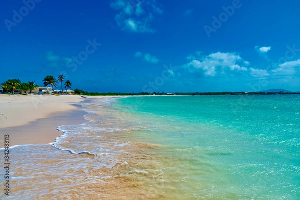 Fototapeta Caribbean island of Anguilla with palm trees and white beaches