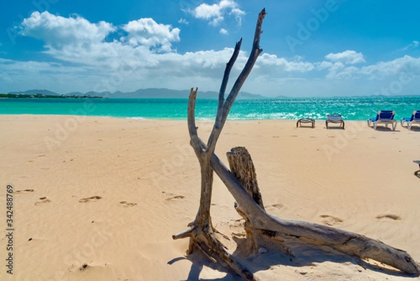 Fototapeta Caribbean island of Anguilla with palm trees and white beaches