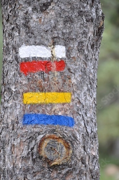 Obraz balisage de randonnée