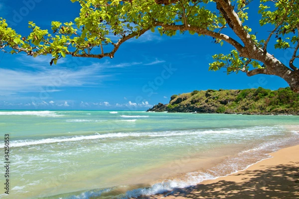 Obraz ukryta plaża, Portoryko