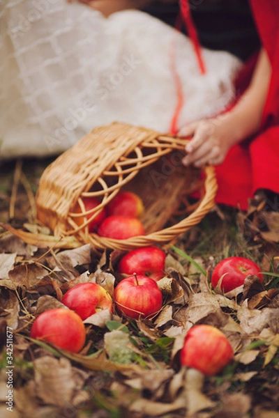 Obraz Basket with apple crumble