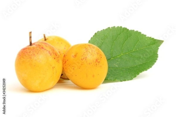 Fototapeta Mirabelle