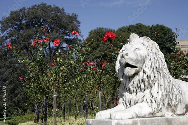 Obraz lion statue