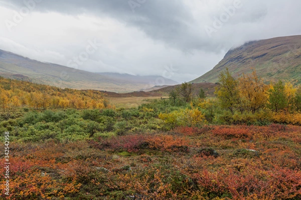 Obraz autumn view of Sarek National Park, Lapland, Norrbotten County, Sweden, near border of Finland, Sweden and Norway. selective focus