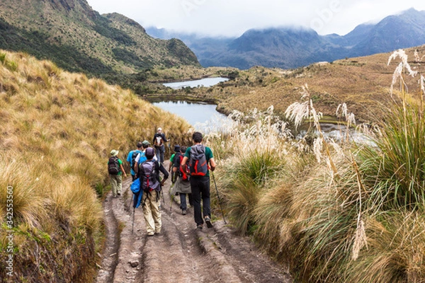 Obraz Group of climbers
