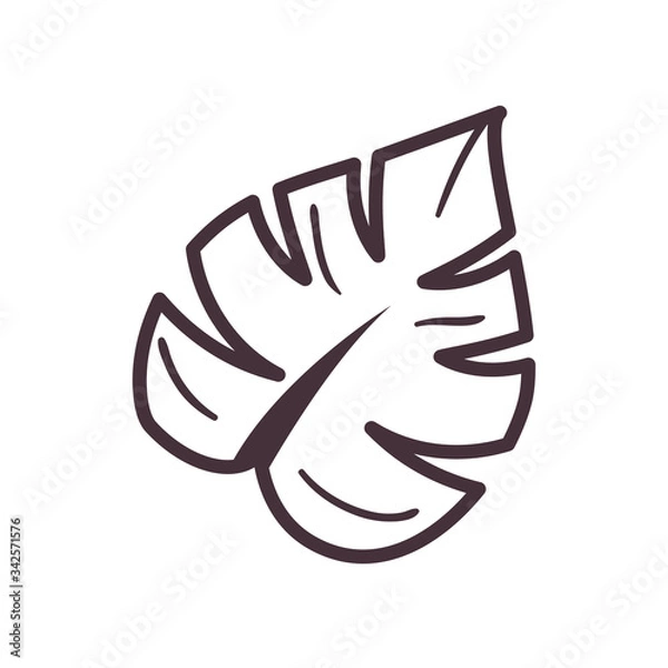 Obraz Isolated leaf line style icon vector design