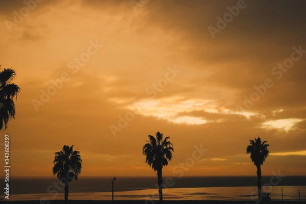 Obraz 노랗게 물든 산타모니카 해변의 풍경과 야자수의 실루엣 들