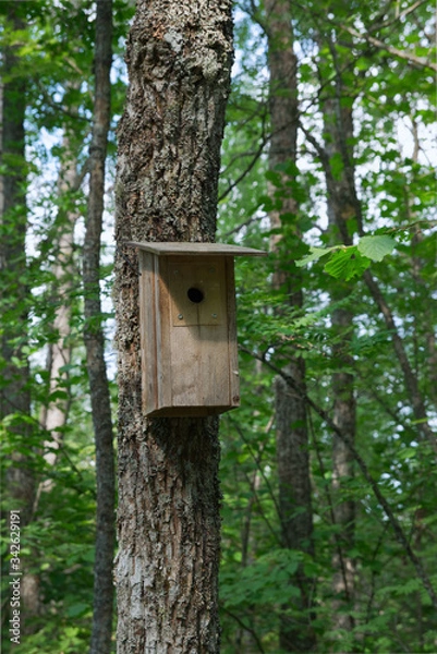 Fototapeta Nest box or birdhouse for birds on tree trunk in spring forest, in Finland.