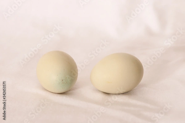 Obraz white eggs close up 