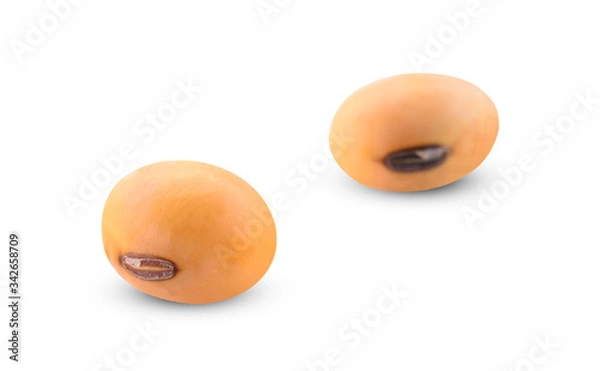Obraz Soybean isolated on white background