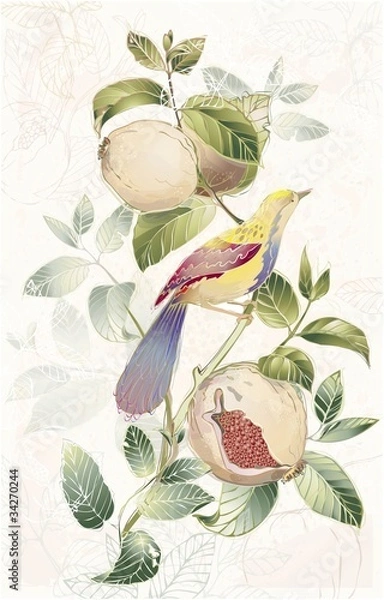 Fototapeta Greeting card with birds and garnet tree.