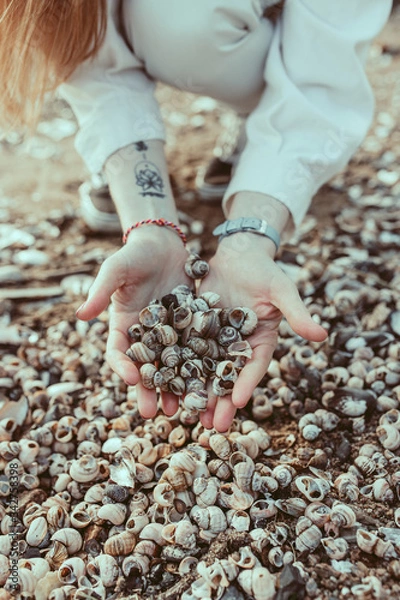 Fototapeta Female sits holding seashells in her hands on the shore. Woman hand with a shell. Gathering and collecting activity. Closeup view of beautiful sea shells. Summer vacation concept. Relax on the coast