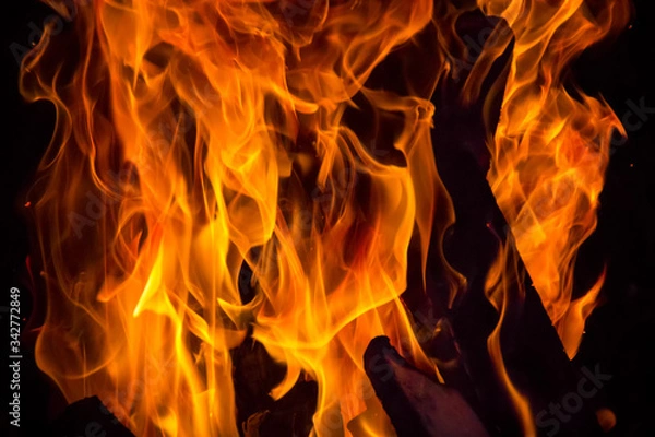 Obraz Fire in the campfire