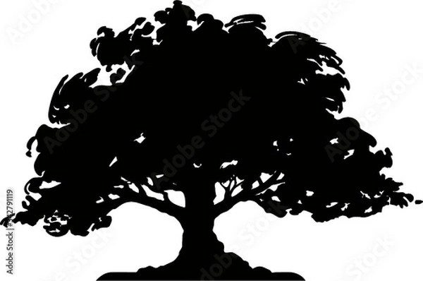 Obraz tree silhouette vector