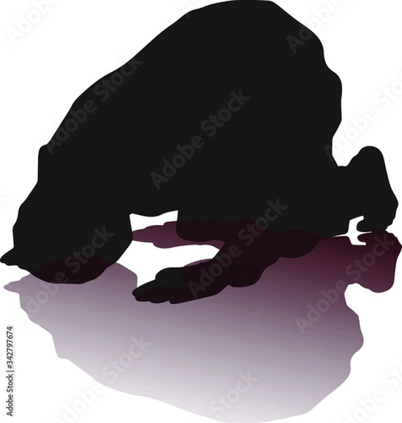 Obraz silhouette muslim praying