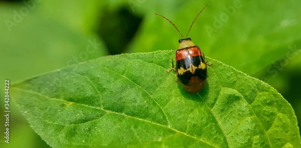 Obraz view from the top