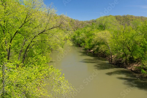 Obraz Spring along the Levisa Fork