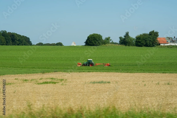 Fototapeta Agriculture