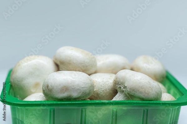 Obraz Fresh mushrooms in a plastic box isolated on a gray background. White champignons. Mushrooms grown at home.
