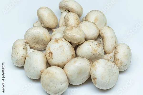 Obraz Fresh mushrooms isolated on a gray background. White champignon on a subject table. Mushrooms grown at home.