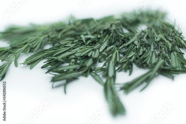 Obraz Freshly picked rosemary herbs. Green sprigs of rosemary isolated on a white background. Healthy food and culinary herbs.