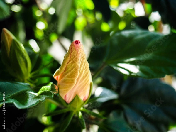 Obraz OLYMPUS DIGITAL CAMERA