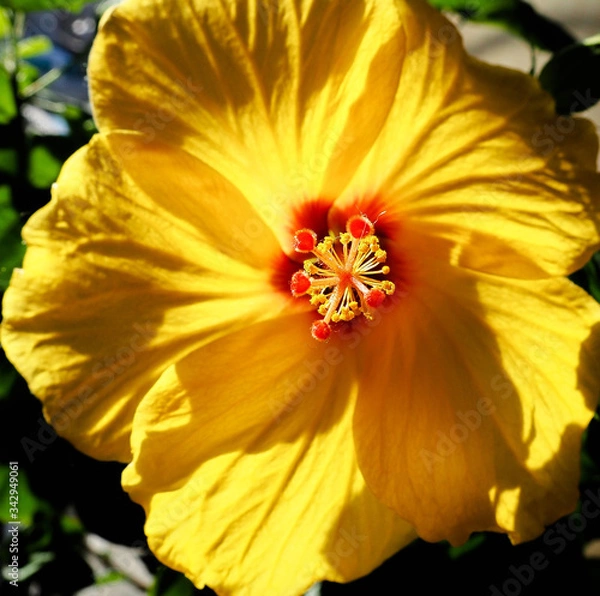 Obraz OLYMPUS DIGITAL CAMERA