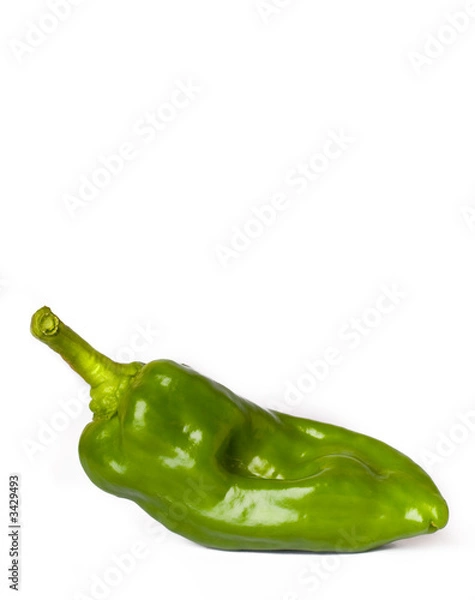 Fototapeta green pepper