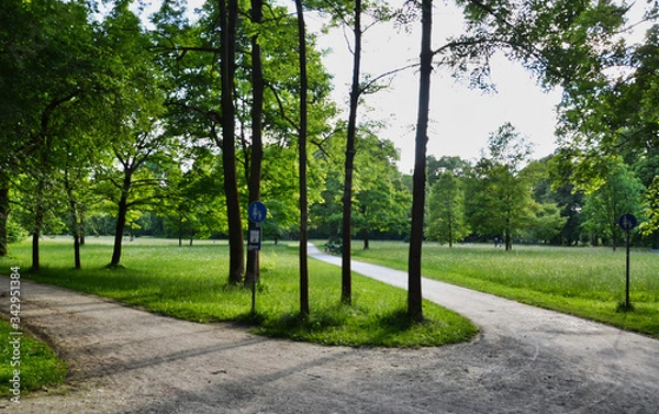 Obraz Two Roads through the Park with Trees