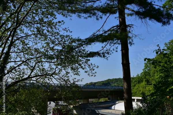 Obraz Baum mit blauem Himmel
