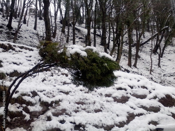 Obraz river in winter