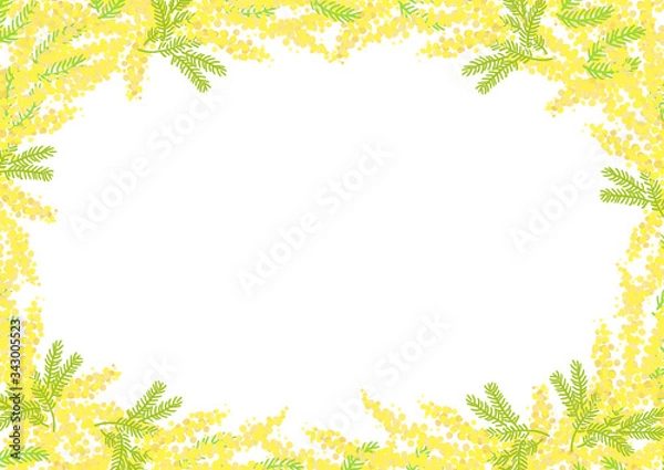 Fototapeta ミモザ　花　フラワー　フレーム