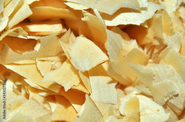 Obraz Structure and texture, birch