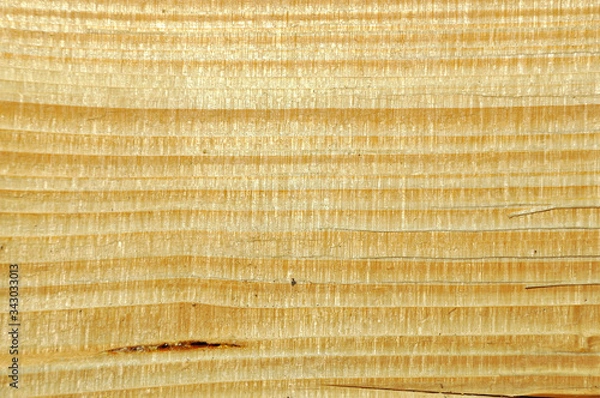 Obraz The surface structure of pine