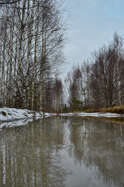 Fototapeta river in winter forest