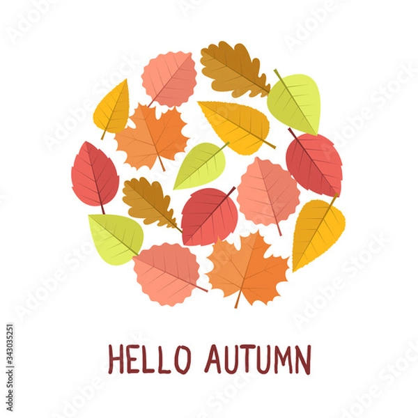Obraz Hello Autumn Leaf Template on white background. Vector illustration