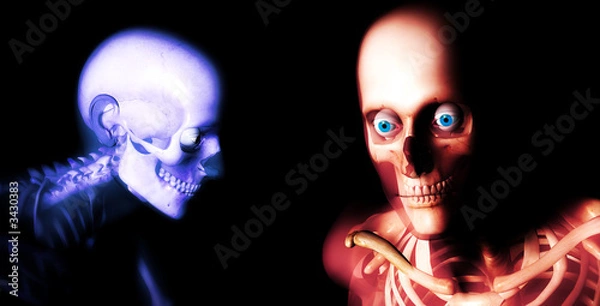 Fototapeta human bones 79