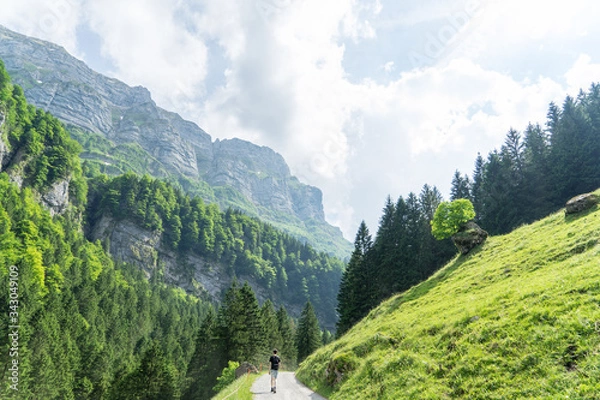 Obraz Alpine atmosphere 2