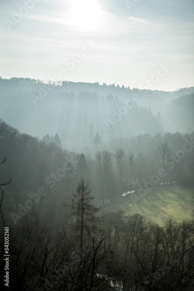 Obraz Foggy forest
