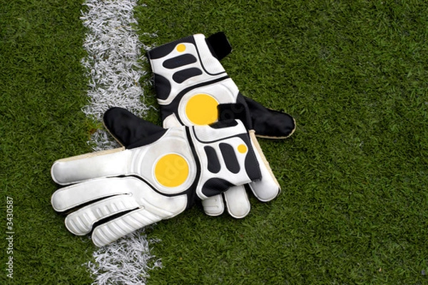 Fototapeta gloves