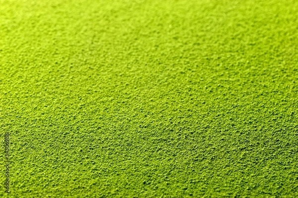 Obraz Powdered green tea