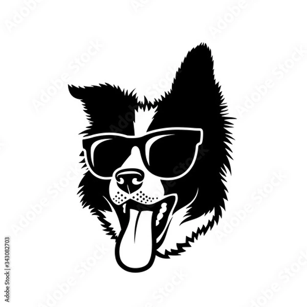 Obraz Border Collie dog wearing sunglasses