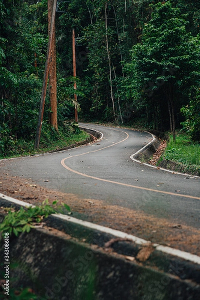 Obraz curve of road line to Abundant forest or Tropical forest. Beside the road have an electric pole. environment concept. green energy. travel concept.