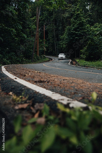 Obraz Car driving on curve of road line to Abundant forest or Tropical forest. Beside the road have an electric pole. environment concept. green energy. travel concept.