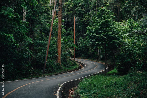 Obraz curve of road line to Abundant forest or Tropical forest. Beside the road have an electric pole. environment concept. green energy. travel concept.