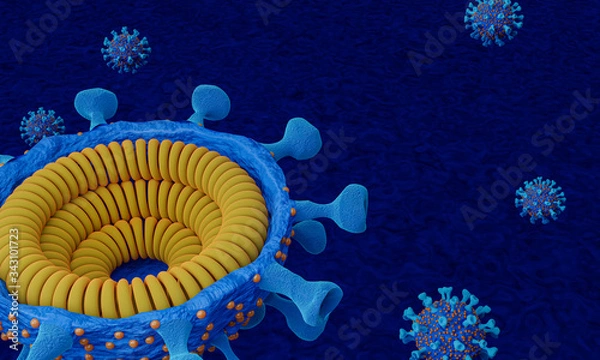 Fototapeta Cut in half and inside virus.  Pathogen respiratory influenza covid virus cells. New official name for Coronavirus disease named COVID-19. 3D Rendering.