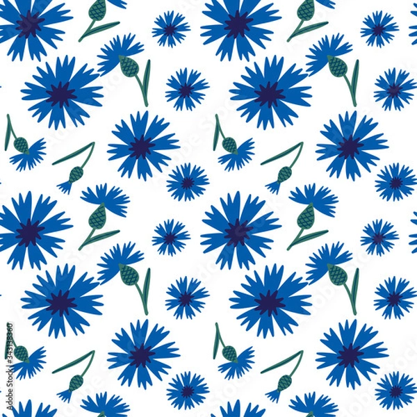 Obraz Pattern with scattered cornflowers and leaves, hand drawn vector background