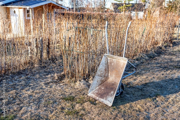 Fototapeta Close up view at rusty grey colored wheelbarrow that stands up right close to raspberry bushes at faded grass. Spring time, no leaves, faded grass. Seasonal clean work in garden