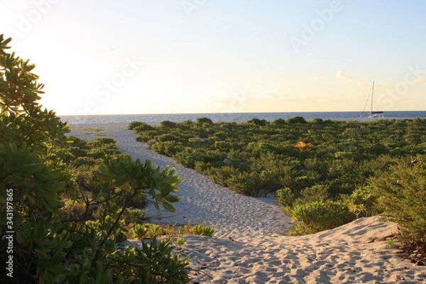 Fototapeta view of the coast of the river