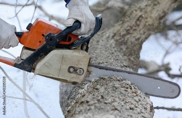 Obraz powerful chainsaw professionals